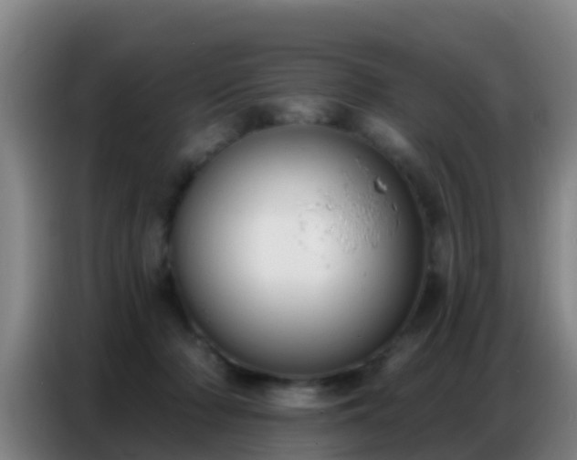 X0000086800318200704201908