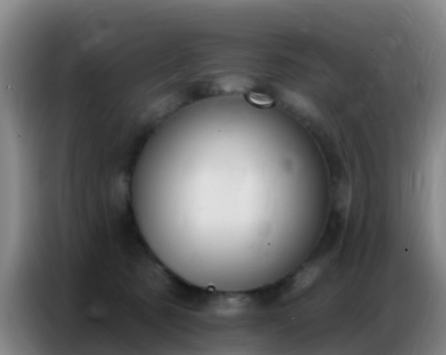 X0000086800321200704201908