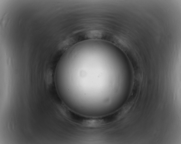 X0000086800323200704201908