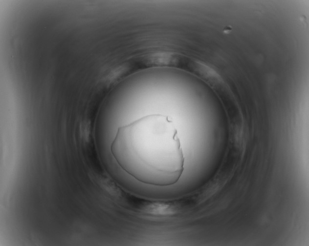 X0000086800326200704201908
