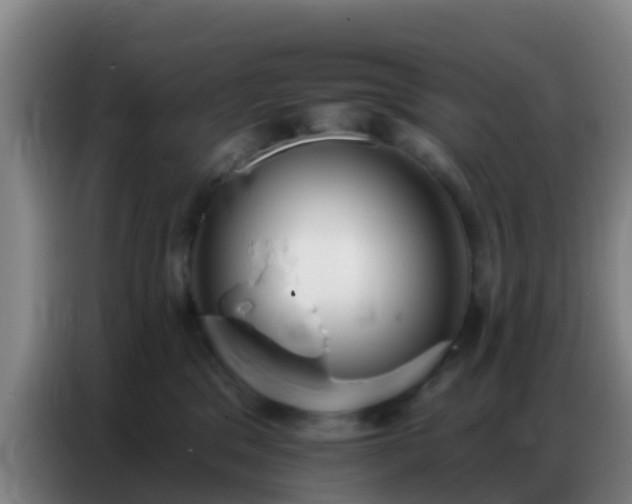 X0000086800329200704201908