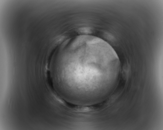 X0000086800330200704201908