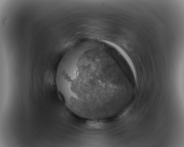 X0000086800331200704201908