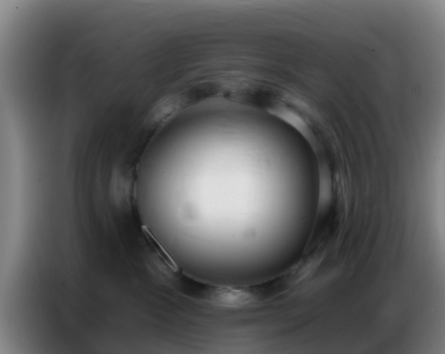 X0000086800333200704201908