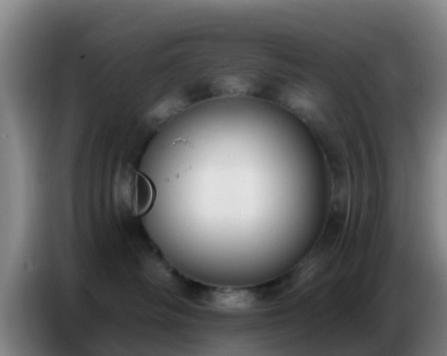 X0000086800334200704201908