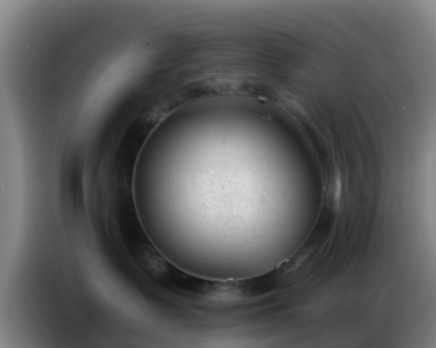 X0000086800335200704201908