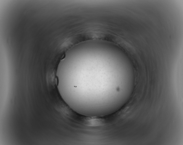 X0000086800336200704201908