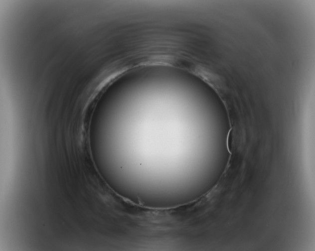 X0000086800338200704201908