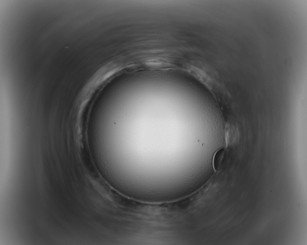 X0000086800339200704201908