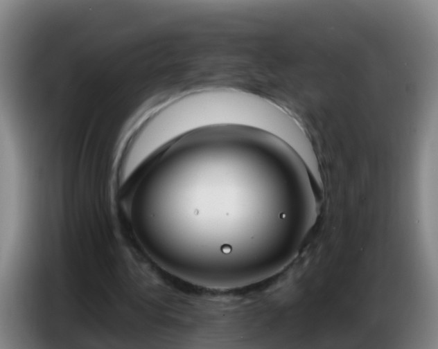X0000086800340200704201908