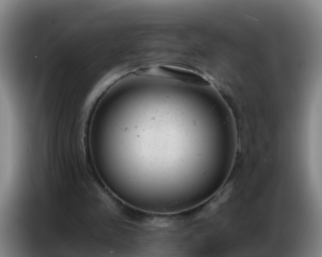 X0000086800341200704201908