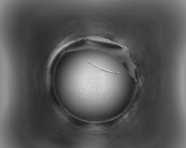 X0000086800343200704201908