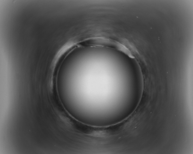 X0000086800344200704201908
