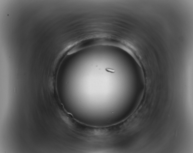 X0000086800345200704201908