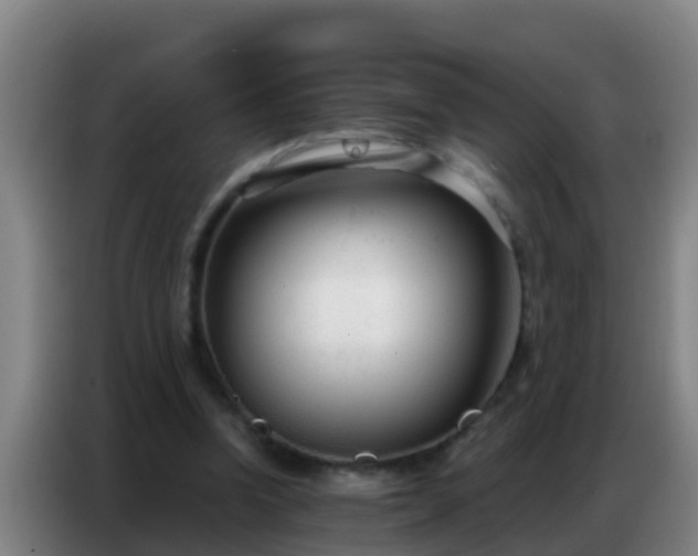 X0000086800346200704201908