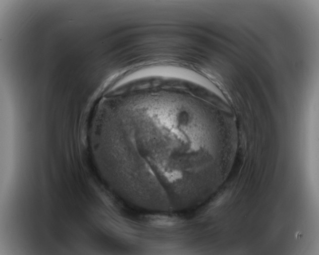 X0000086800347200704201908