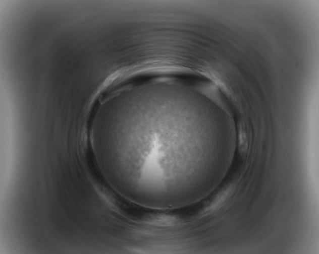 X0000086800348200704201908
