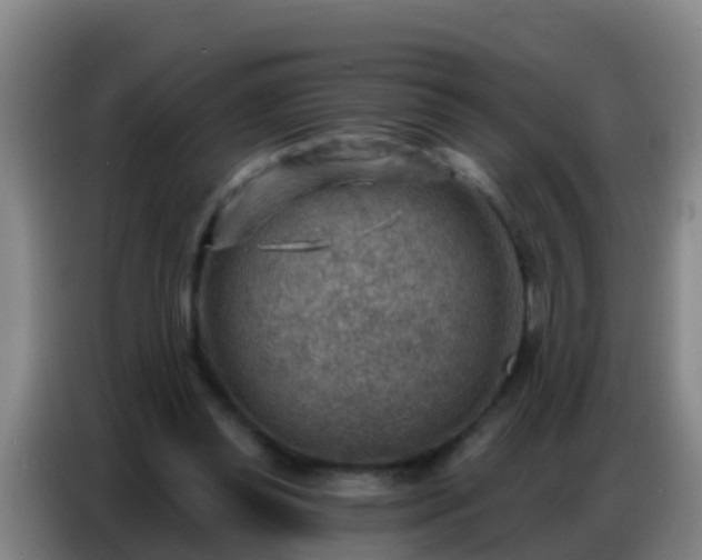 X0000086800349200704201908