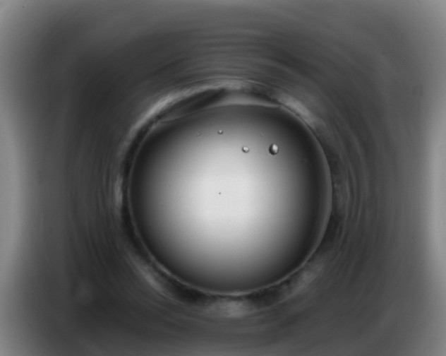 X0000086800350200704201908