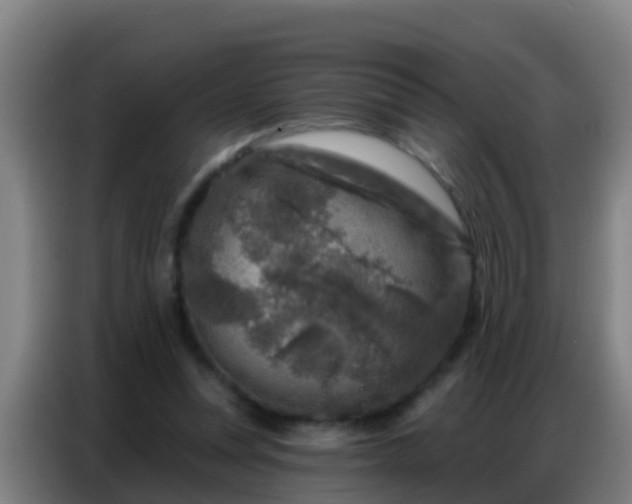 X0000086800351200704201908