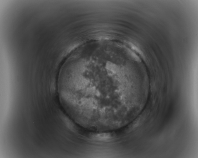X0000086800353200704201908