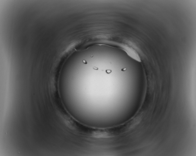 X0000086800354200704201908