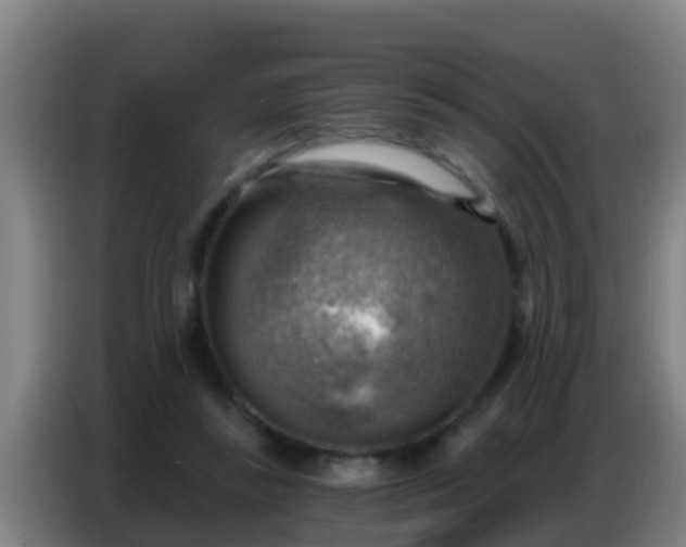 X0000086800355200704201908