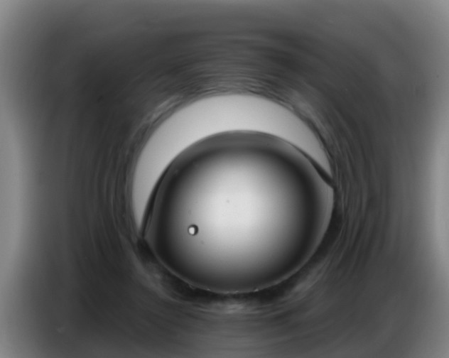 X0000086800356200704201908