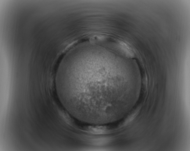 X0000086800359200704201908