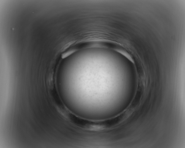X0000086800360200704201908