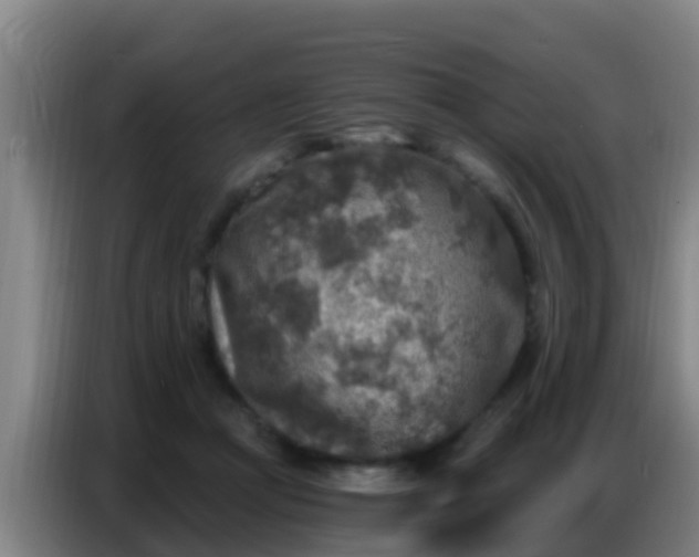 X0000086800361200704201908