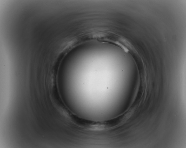X0000086800362200704201908