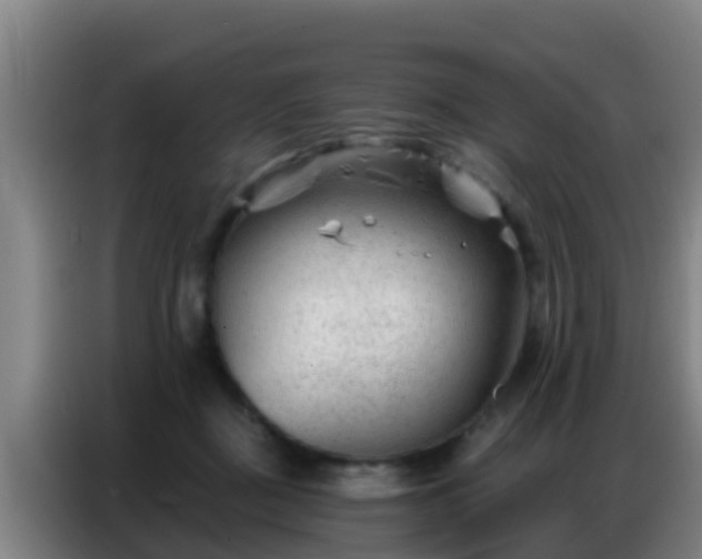 X0000086800363200704201908