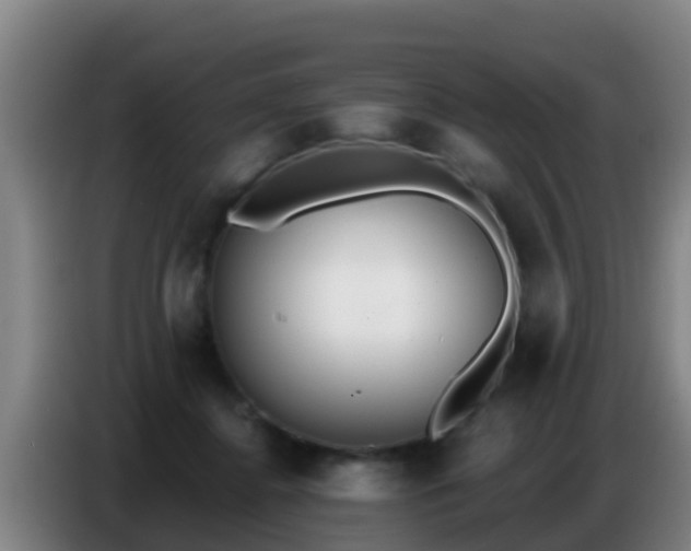 X0000086800364200704201908