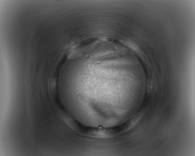X0000086800365200704201908