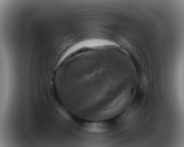 X0000086800366200704201908