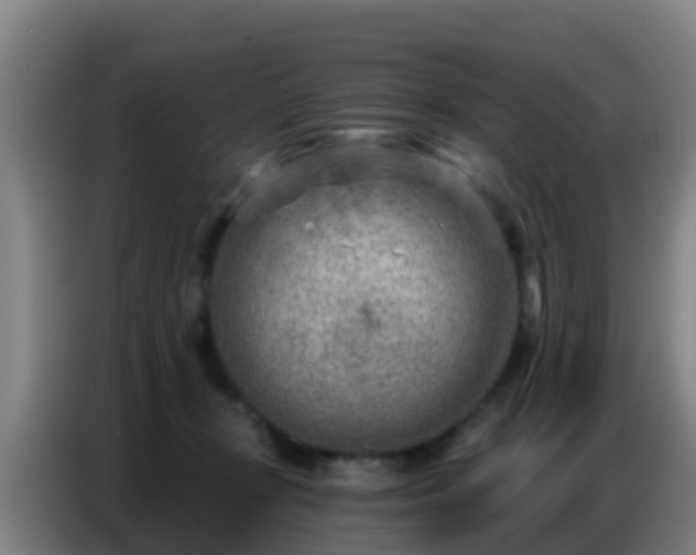 X0000086800367200704201908