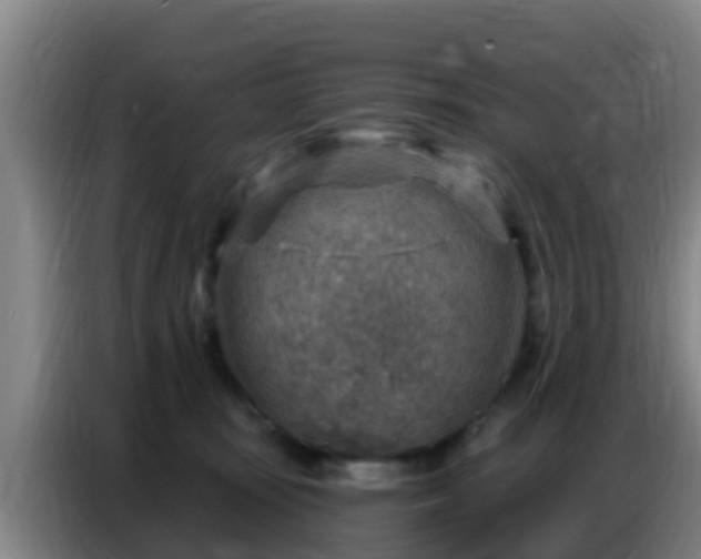 X0000086800371200704201908