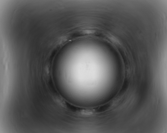 X0000086800373200704201908