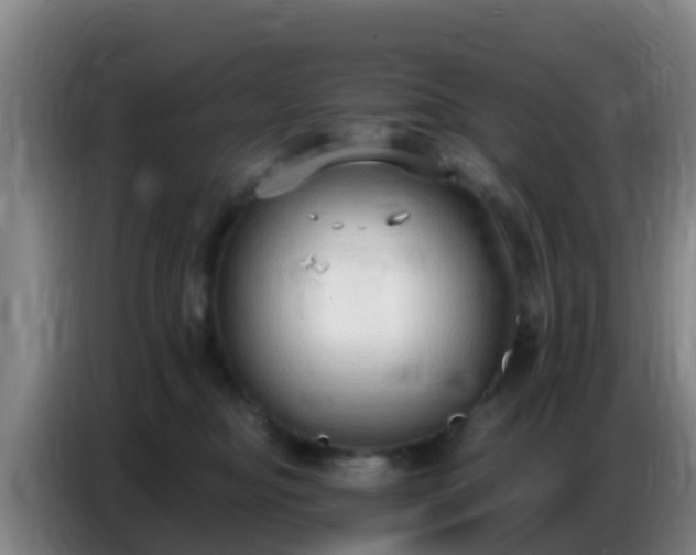 X0000086800374200704201908