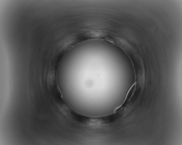 X0000086800376200704201908