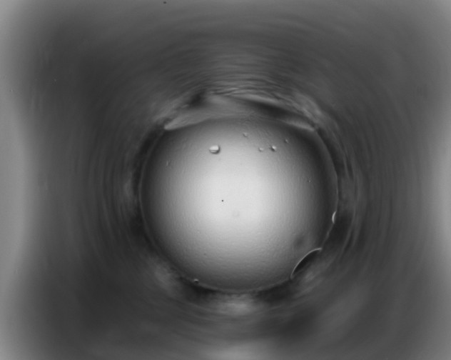 X0000086800377200704201908
