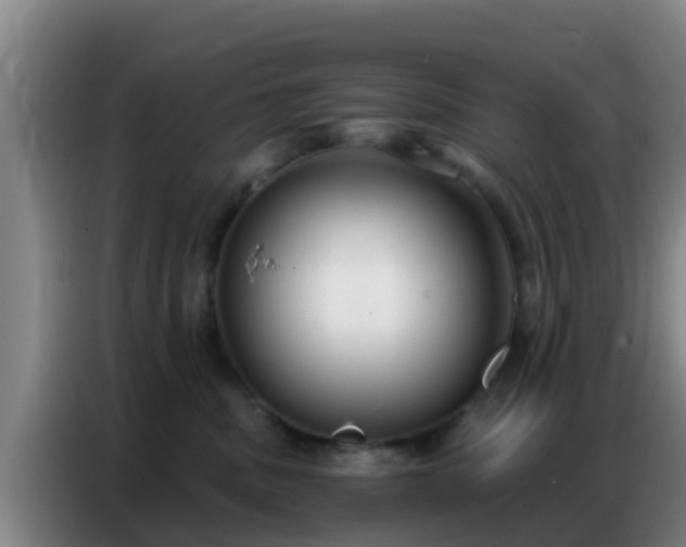 X0000086800379200704201908