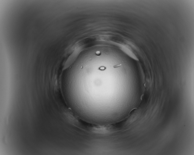 X0000086800381200704201908