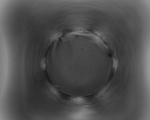X0000086800383200704201908