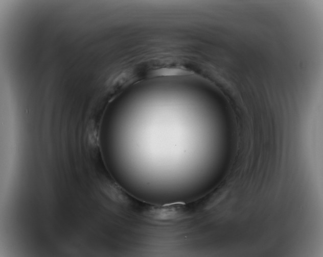 X0000086800384200704201908
