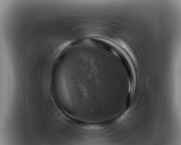 X0000086800385200704201908