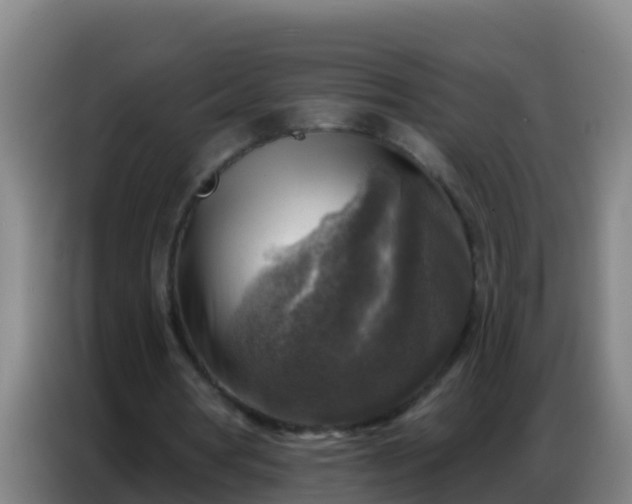 X0000086800386200704201907