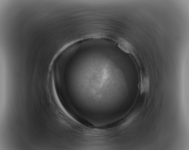 X0000086800387200704201907