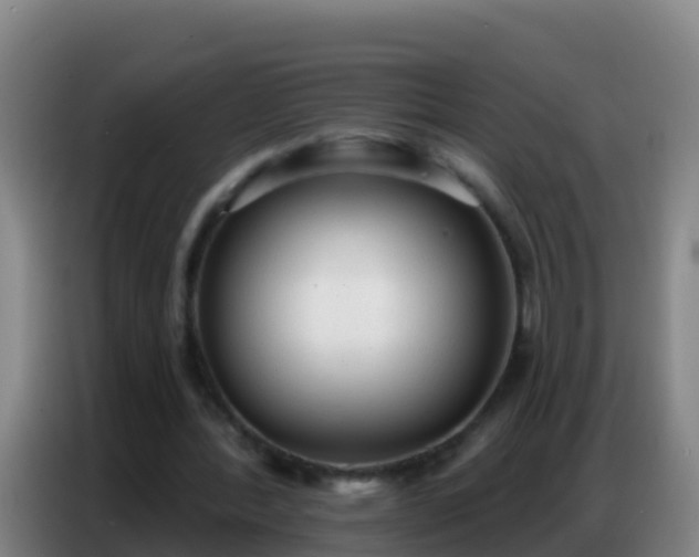 X0000086800388200704201907
